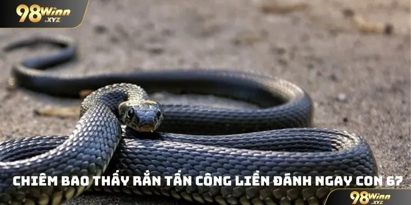 Chiêm bao thấy rắn tấn công liền đánh ngay con 67 